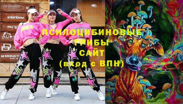 тгк Мегион