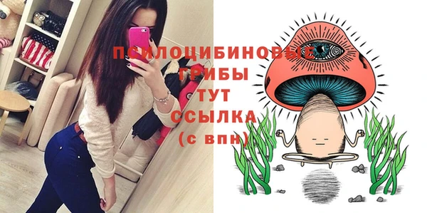 2c-b Михайловка