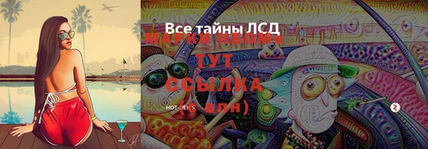 ПСИЛОЦИБИНОВЫЕ ГРИБЫ Курчалой