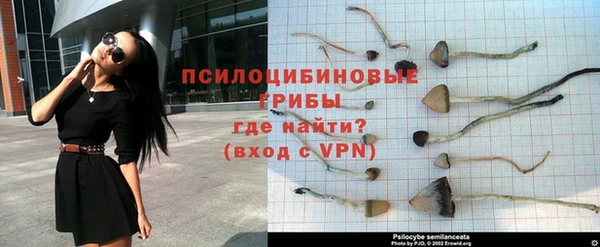 спиды Михайлов