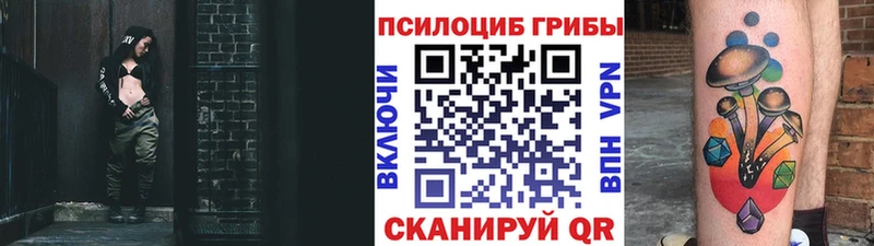 закладки  Никольск  Псилоцибиновые грибы Psilocybe 